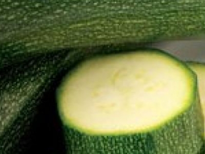 Courgette Dark Green, biologique, semence