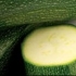Courgette Dark Green, biologique, semence