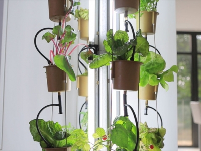 Nutritower, jardinage intérieur, windows farm, fenêtre maraîchère