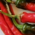Piment cayenne Ring of Fire, biologique, semence
