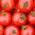 Tomate cerise Sub-Arctic, biologique, semence
