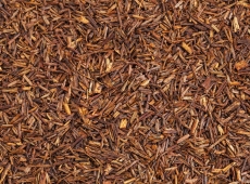 Rooibos