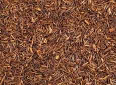 Rooibos