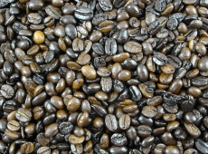 Java noir moka brun