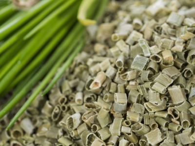 ciboulette, fines herbes