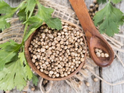 graine de coriandre, coriandre, fines herbes