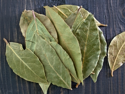 feuilles de laurier, fines herbes