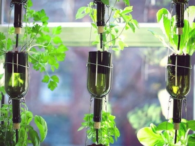 Jardin en bouteilles, BioCité, fenêtre maraîchère, window farm, jardinage intérieur