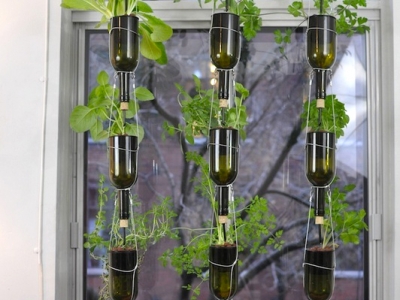 Jardin en bouteilles, BioCité, fenêtre maraîchère, window farm, jardinage intérieur