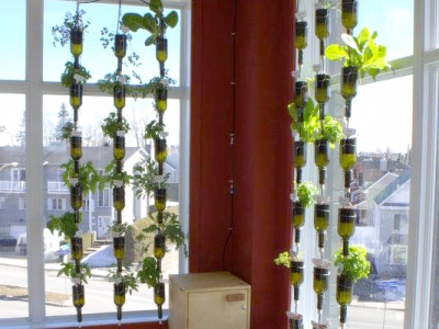 Jardin en bouteilles, BioCité, fenêtre maraîchère, window farm, jardinage intérieur