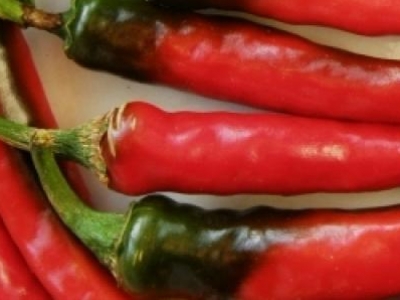 Piment cayenne Ring of Fire, biologique, semence