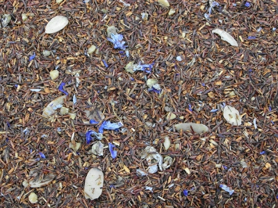 rooibos, thé, solstice d'hiver