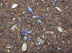 Rooibos du solstice d'hiver